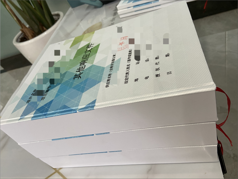 广西维修工程标书制作