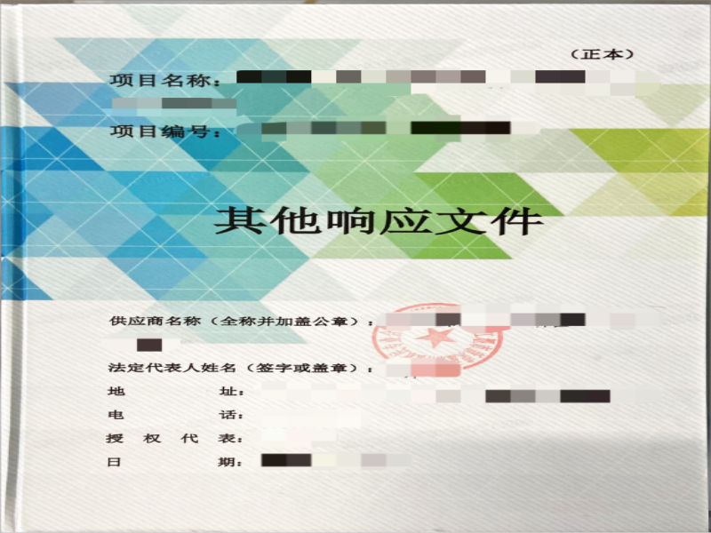 广西租赁服务标书代做
